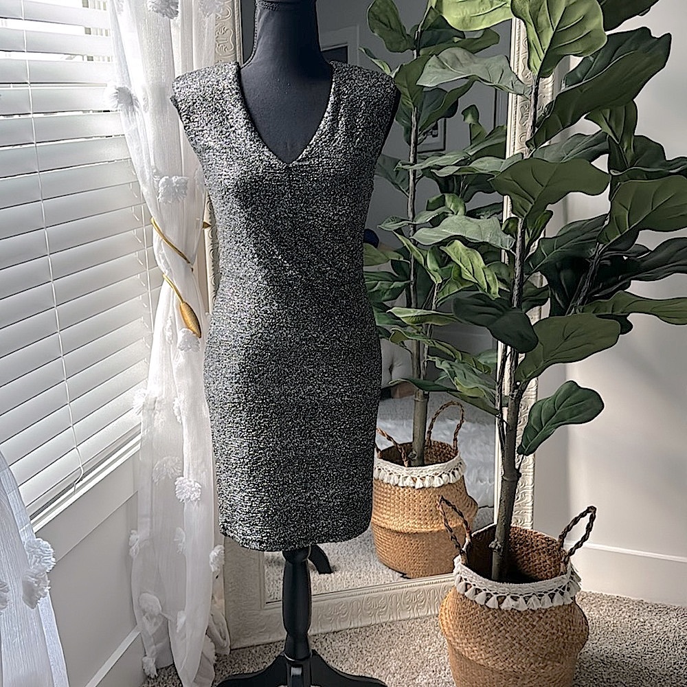 Women’s shiny dress